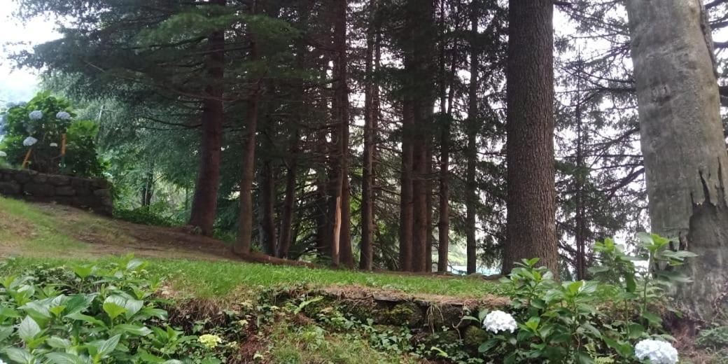 Hotel Forest View Lāhri Buitenkant foto